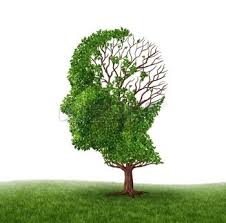 Incontro su ”Demenza e Alzheimer Senza Paura”