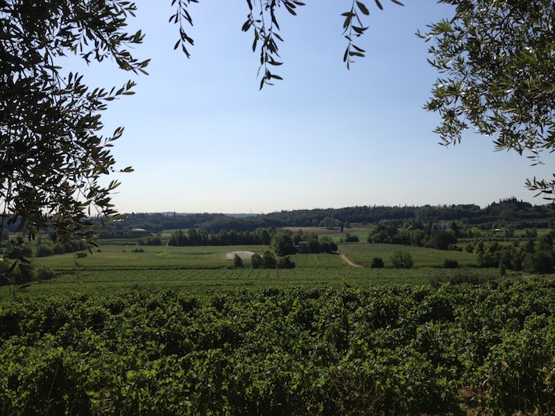 Sguardi sul Territorio
