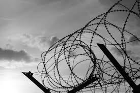 Presentazione del libro: In guerra per un paese straniero