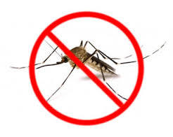 Lotta alla proliferazione delle zanzare – incontro pubblico