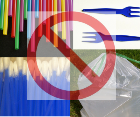 L’Unione Europea dice addio alla plastica monouso