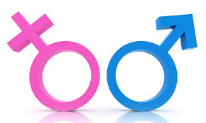 Ma cos’è questo Gender? Ne parliamo con gli esperti.