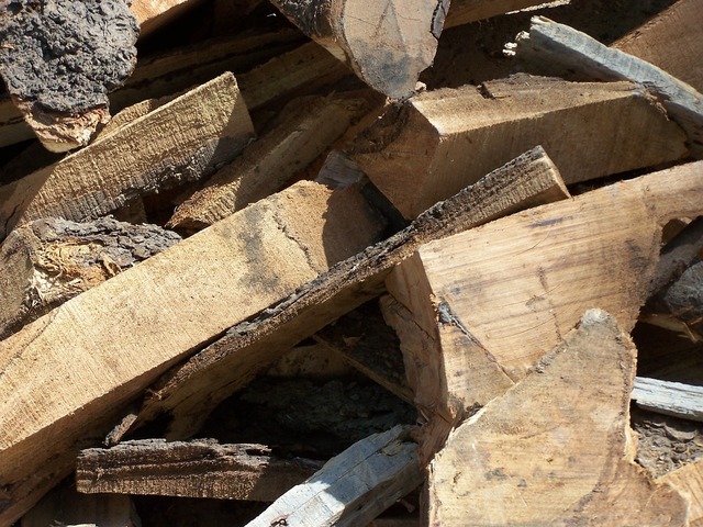 Interruzione ritiro del legno presso le isole ecologiche