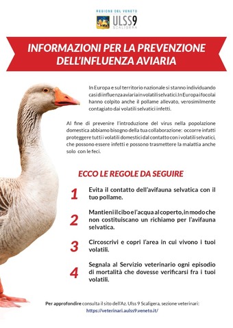 Informazioni per la prevenzione dell’influenza aviaria dalla ULSS9 Scaligera
